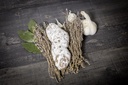 Saucisson nature